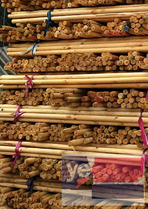 沾化竹竿 高压线防护 缠树布 木模板批发公司