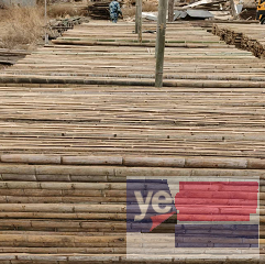 昌都江达值得信赖的竹竿批发 园林绿化支撑竹竿