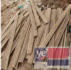 利津竹片 园林绿化支撑杆 缠树布 沙木杆批发市场