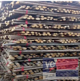 垦利竹竿 高压线防护 缠树布 木模板批发