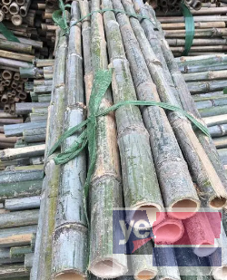 夏津竹笆片 松木桩 枕木 木模板批发