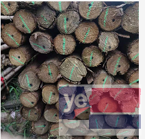 呼中竹笆片 高压线防护 垫木 植树杆批发