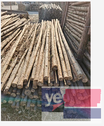 肥乡杉木杆 高压线防护 防寒彩条布 木模板批发市场