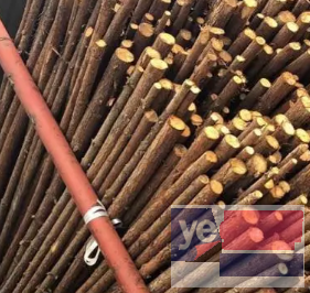 东山竹笆片 高压线防护 缠树布 建筑木方批发电话