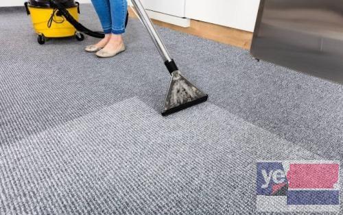 泰安东平正规家庭地毯清洗24小时服务到位