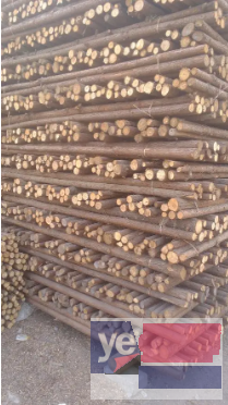 鸡西杉木杆 高压线防护 缠树布 植树杆批发公司