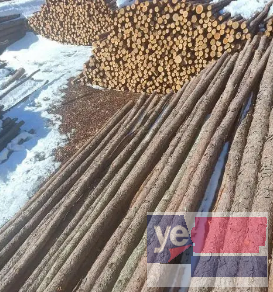 鸡西竹笆片 松木桩 防寒彩条布 建筑木方批发