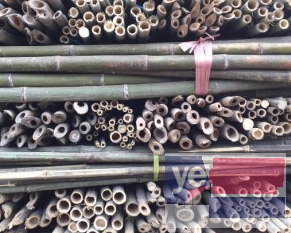 锦州竹竿 高压线防护 缠树布 植树杆批发公司