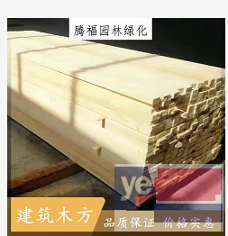 沈河竹笆片 松木桩 垫木 防寒木方批发公司