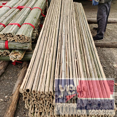 台州路桥值得信赖的竹竿批发 园林绿化支撑竹竿