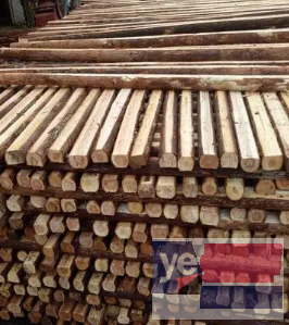 潍坊杉木杆 竹跳板 防寒彩条布 植树杆批发公司