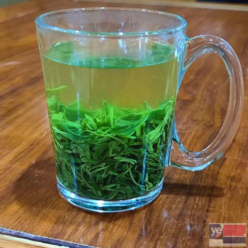 滨州茶叶种植地 厂家直销 纯茶叶零添加