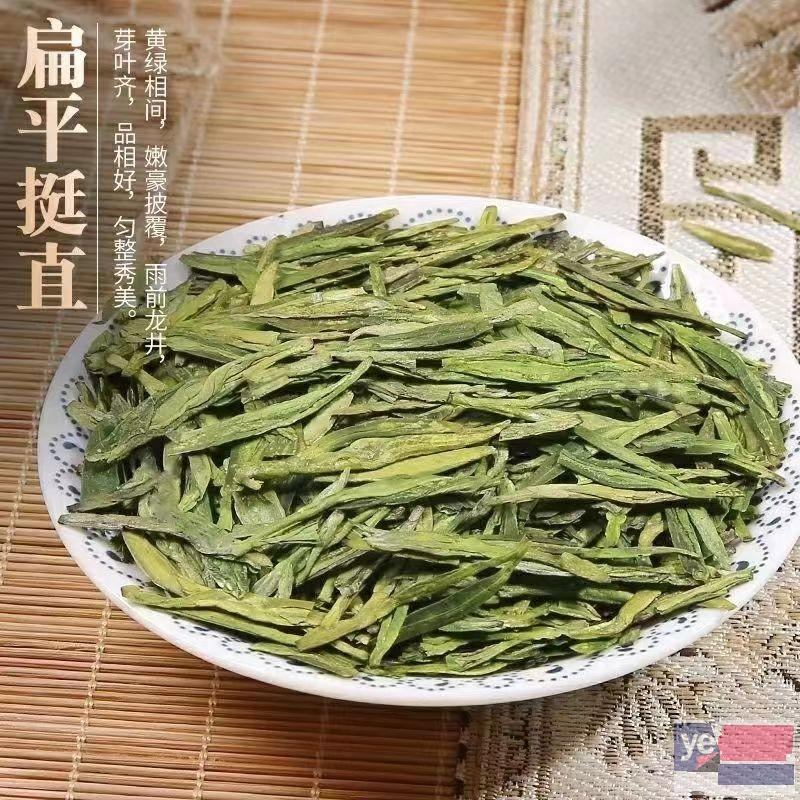 滨州茶叶种植地 厂家直销 纯茶叶零添加