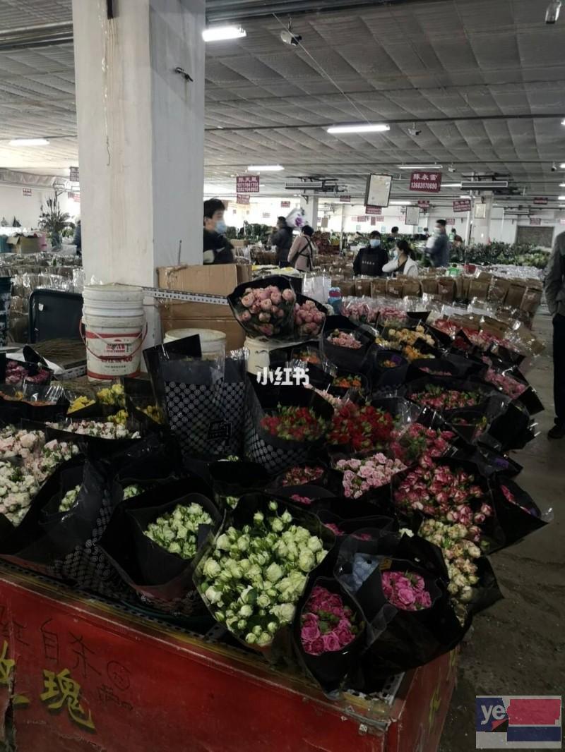 亳州谯城鲜花批发市场,玫瑰品种多基地直供,品质保证,长期供货