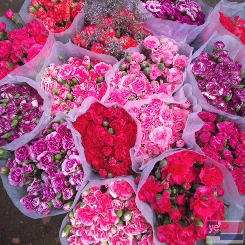 长沙雨花鲜花批发市场,玫瑰品种多基地直供,品质保证,诚信经营
