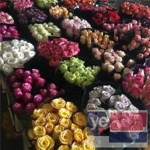 沧州婚庆公司鲜花批发,玫瑰品种多基地直供,品质保证,诚信供货