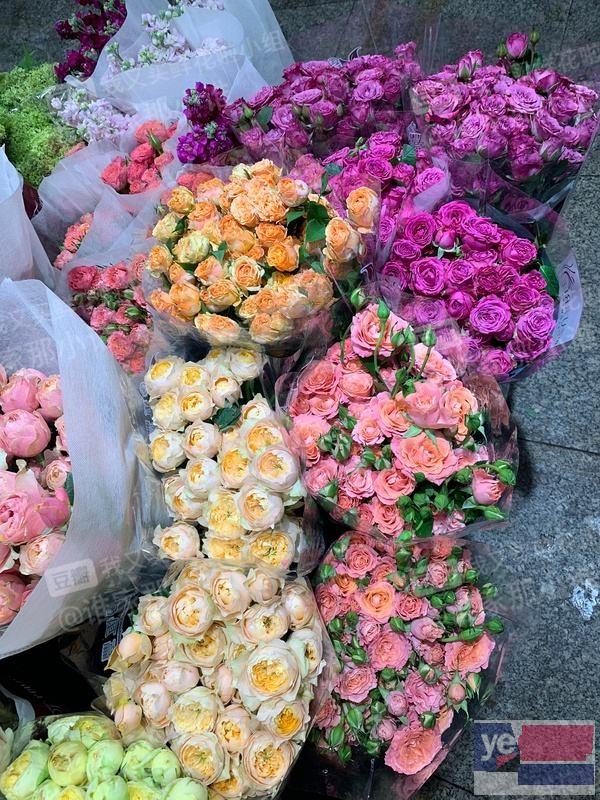 沧州青县鲜花大量批发,玫瑰品种多基地直供,品质保障,长期供货