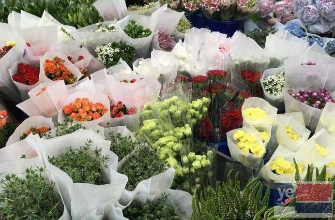 克拉玛依克拉玛依区花店鲜花批发市场 基地直供,品质保障