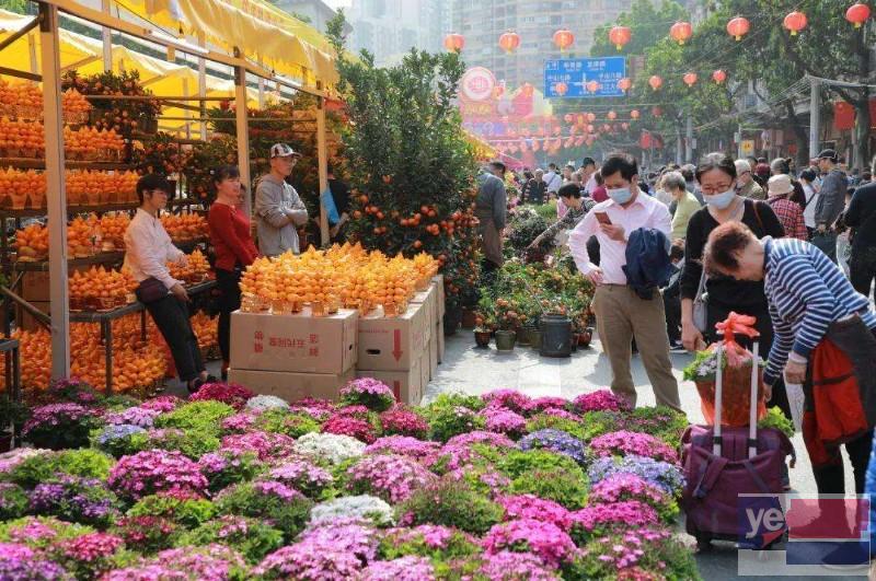 柳州城中鲜花批发市场,玫瑰品种多基地直供,品质保证,长期供货