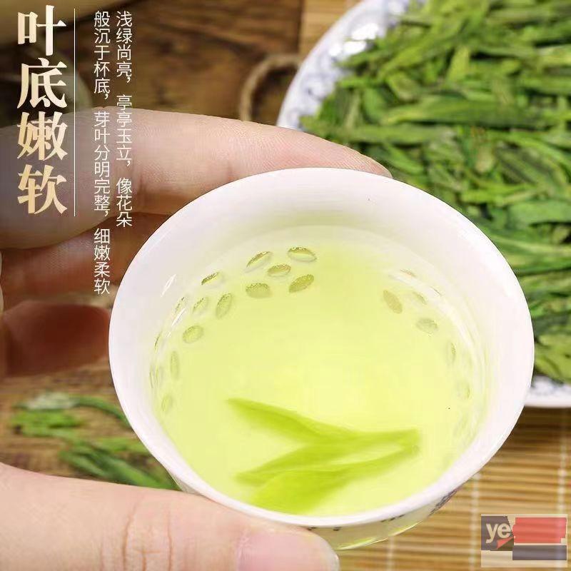 萍乡茶叶种植地 厂家直销 纯茶叶零添加