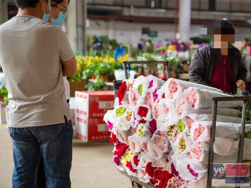 马鞍山花店鲜花批发,玫瑰品种多,基地直供,品质保证,长期供货