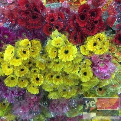牡丹江婚庆公司鲜花批发,玫瑰品种多基地直供,品质保证长期供货
