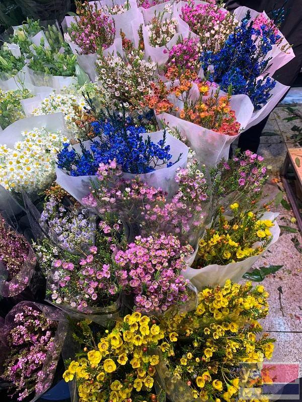 日照岚山花店鲜花批发,玫瑰品种多基地直供,品质保证,长期供货