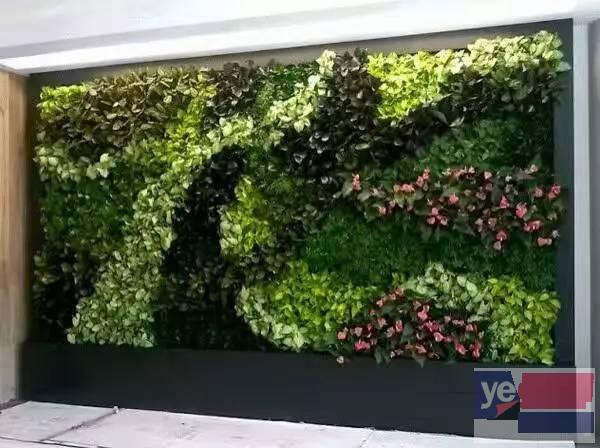 沈阳生态墙-植物墙-绿植墙-墙面绿化