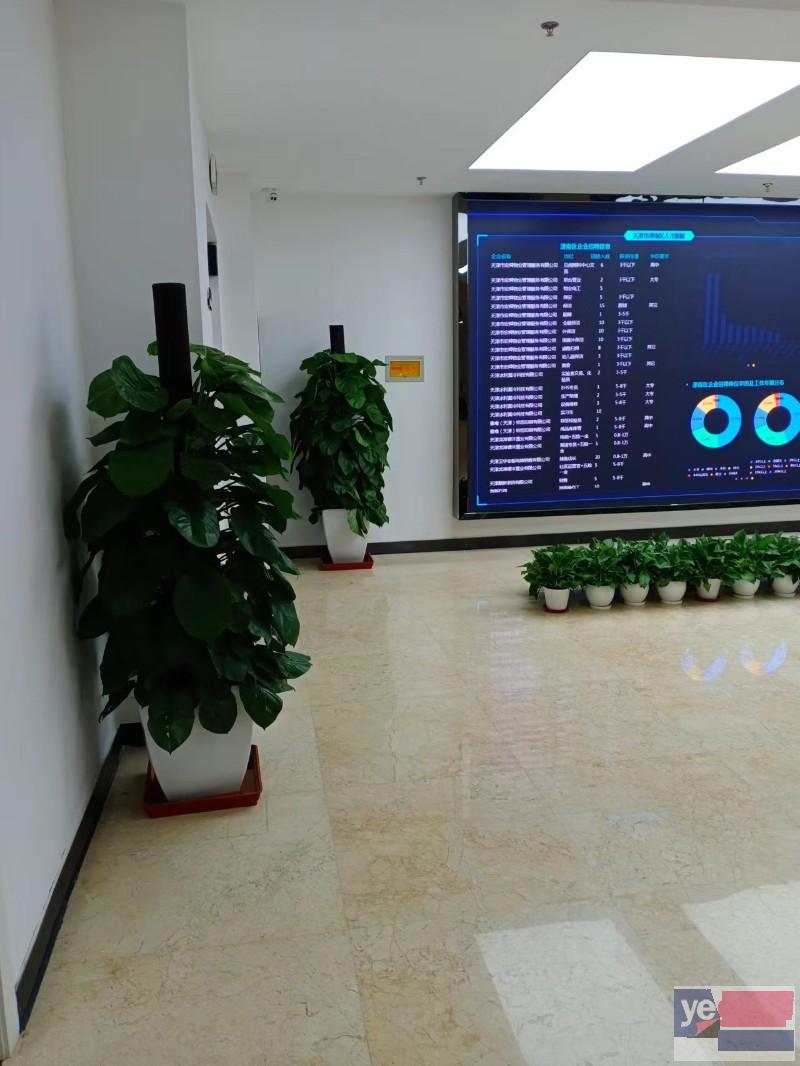 天津绿植租摆花卉租赁 各种鲜花绿植租赁公司