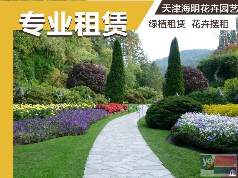 天津绿植租摆花卉租赁 各种鲜花绿植租赁公司