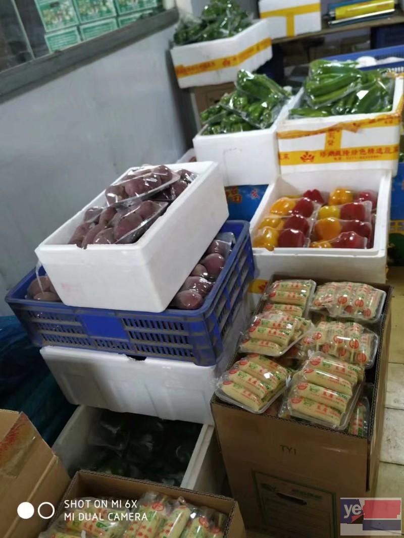 郑州蔬菜集装箱供应春节年货