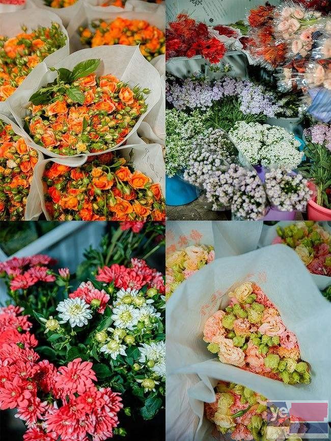 漳州平和鲜花批发市场,玫瑰品种多基地直供,品质保证,诚信经营