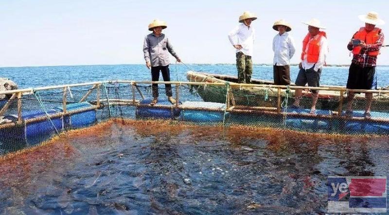 黔西南池塘养鱼资产评估 网箱养鱼资产评估